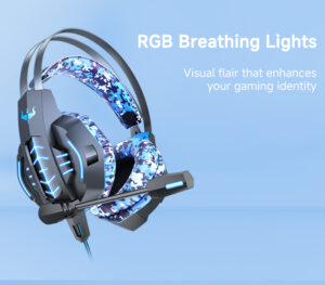 ANC headphones with mic